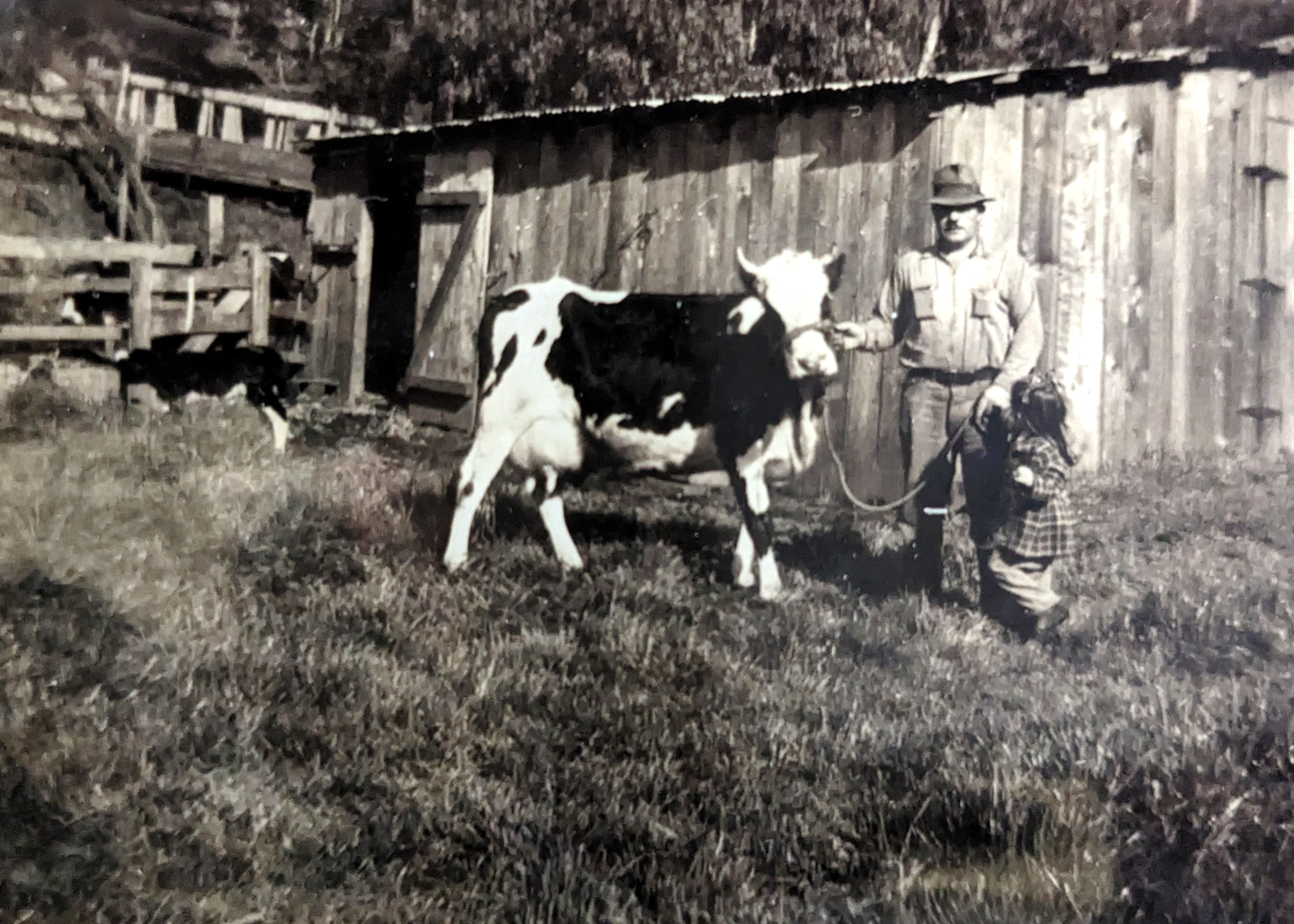 Grandfather With Livestock