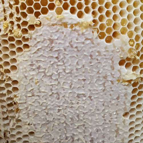 Honey and Bee Products
